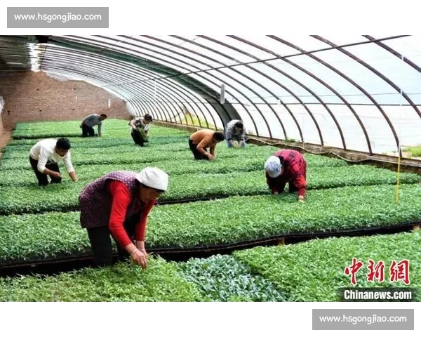 步行者强势对决雷霆青春风暴焦点之战引爆赛场期待东西部巅峰碰撞